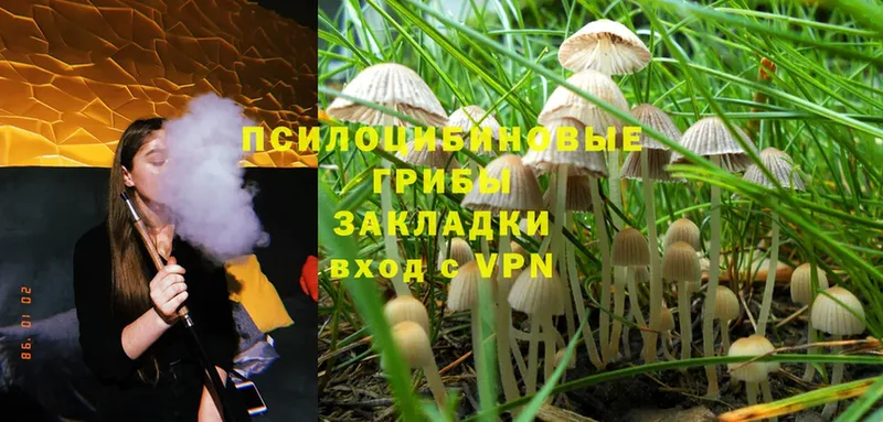 Псилоцибиновые грибы Magic Shrooms  МЕГА маркетплейс  Верхняя Тура 